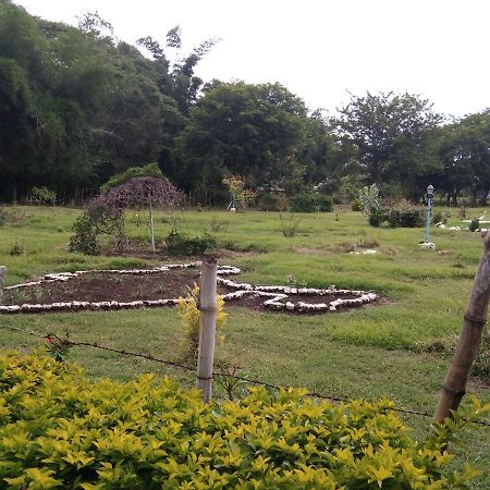 Blue Valley Jungle Resort Nīlgiri 외부 사진