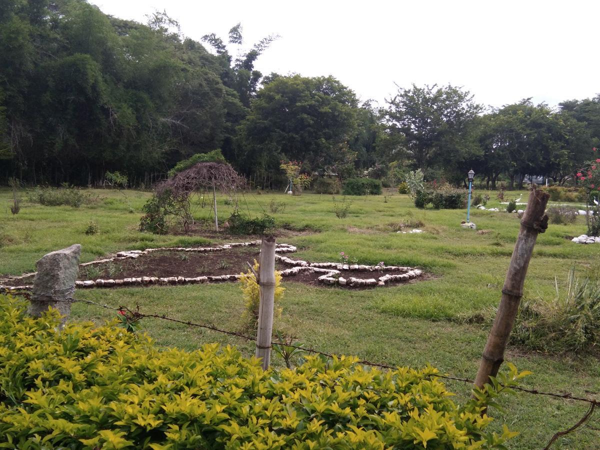 Blue Valley Jungle Resort Nīlgiri 외부 사진